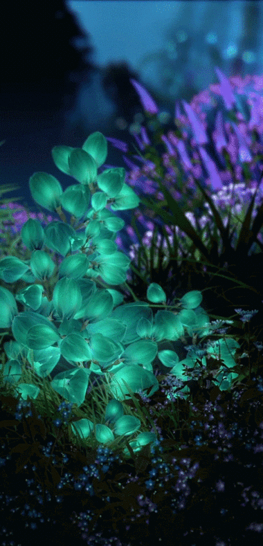 手机动画壁纸高清怎么设置_手机动态壁纸会耗电吗