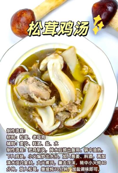 松茸菇怎么做好吃_松茸菇的做法大全