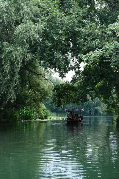 吱呀什么声音_吱呀声来源解析