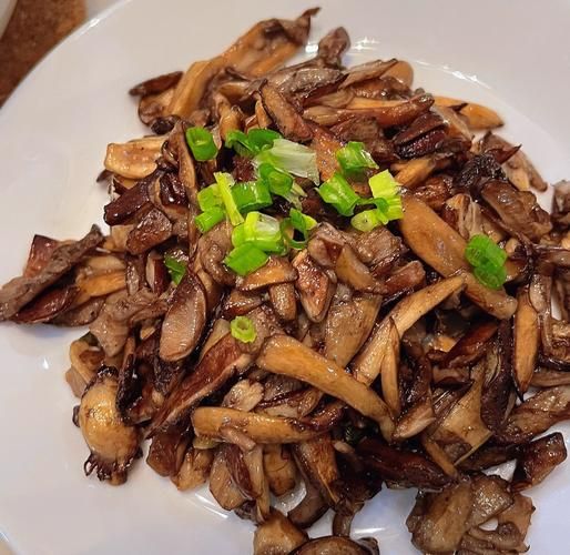 松茸菇怎么做好吃_松茸菇的做法大全