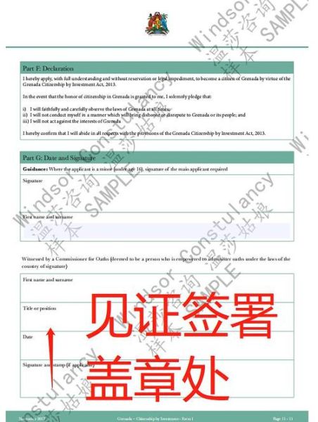 广州移民律师哪家好_移民流程怎么走