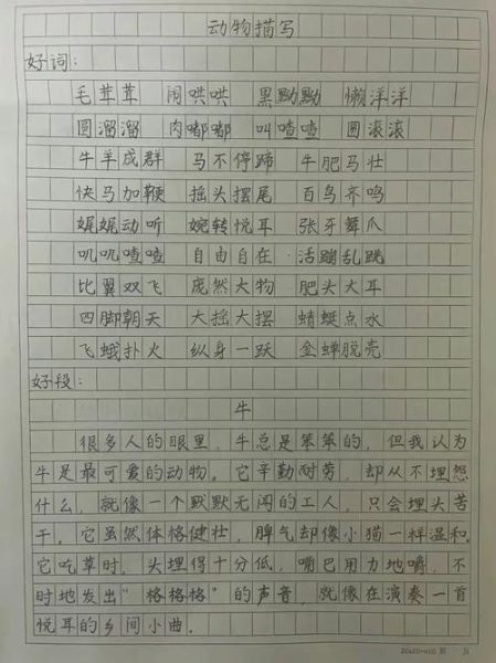 描写动物小学词语有哪些_如何写生动