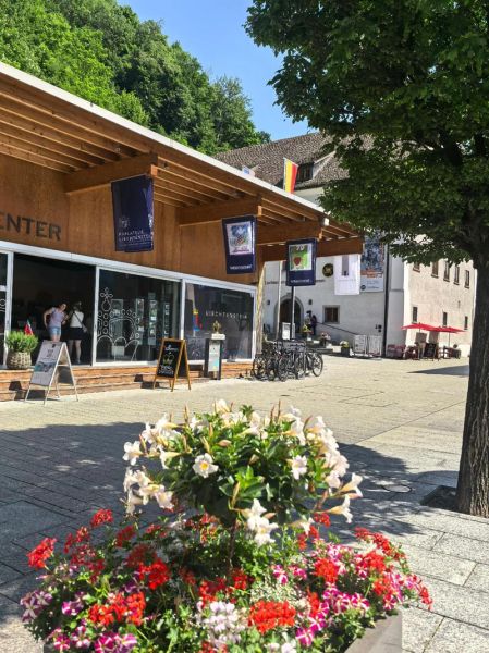 列支敦士登移民条件_列支敦士登移民费用