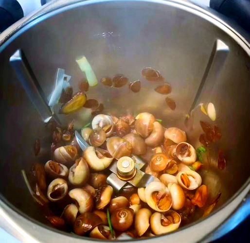 海螺怎么清洗才干净_海螺炒多久才入味