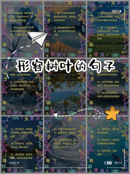 加树叶的词语有哪些_如何造句