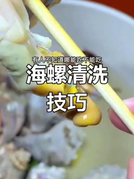 海螺怎么清洗才干净_海螺炒多久才入味