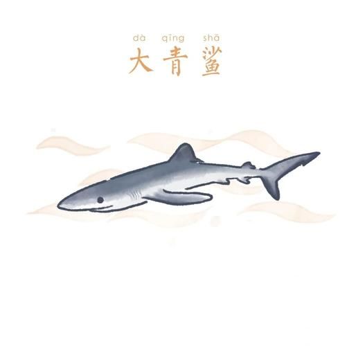 鲨是词语吗_鲨字组词有哪些