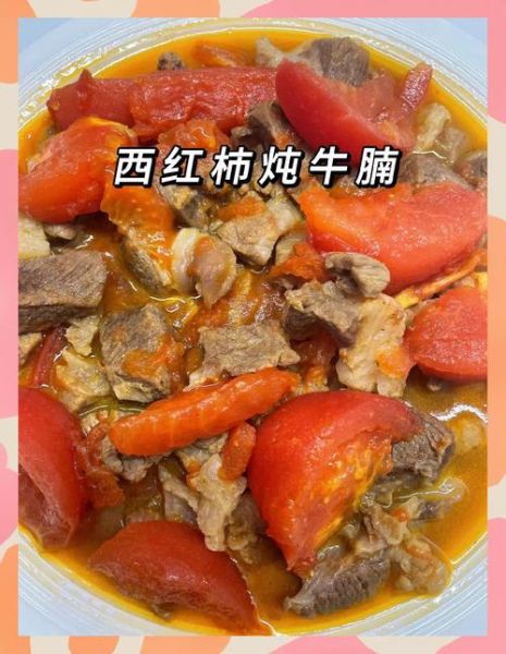 西红柿牛腩怎么做才好吃_西红柿牛腩的家常做法