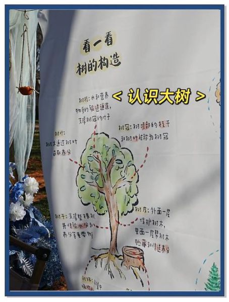 树木生长过程_树木如何快速生长