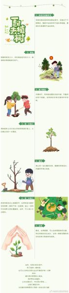 树木生长过程_树木如何快速生长