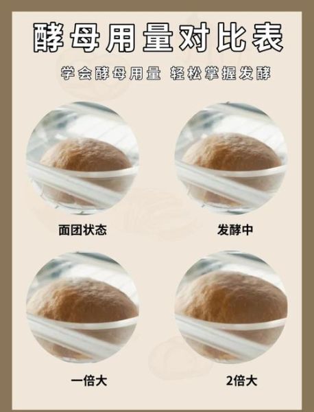 自制酵母怎么做_自制酵母配方比例