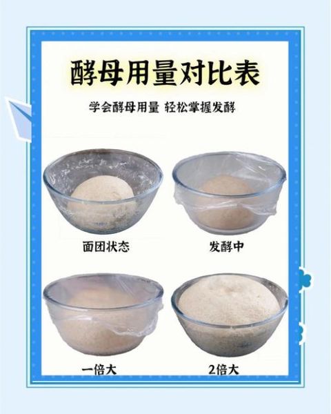 自制酵母怎么做_自制酵母配方比例