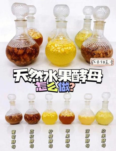 自制酵母怎么做_自制酵母配方比例