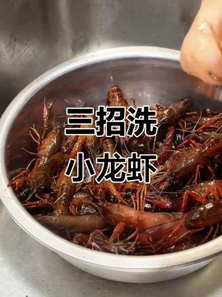 小龙虾怎么清洗_小龙虾家常做法