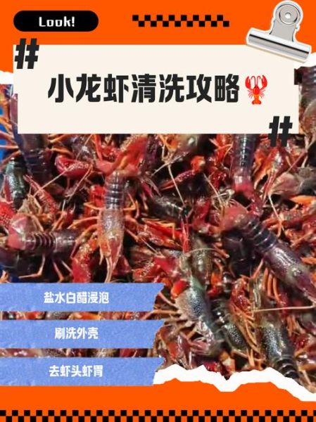 小龙虾怎么清洗_小龙虾家常做法