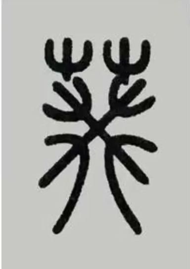 葵组词语有哪些四字词语_葵花向阳是成语吗