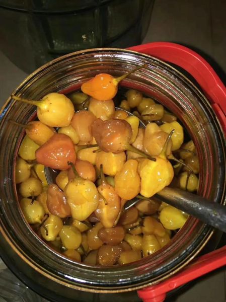 家常泡椒怎么做_泡椒保存多久不变质