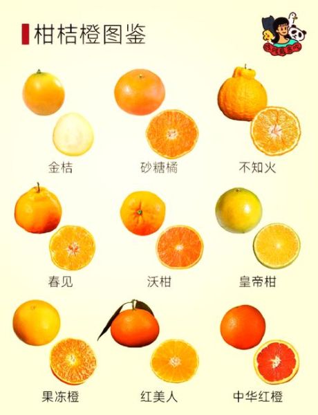 桔子有哪些颜色_为什么桔子颜色不同