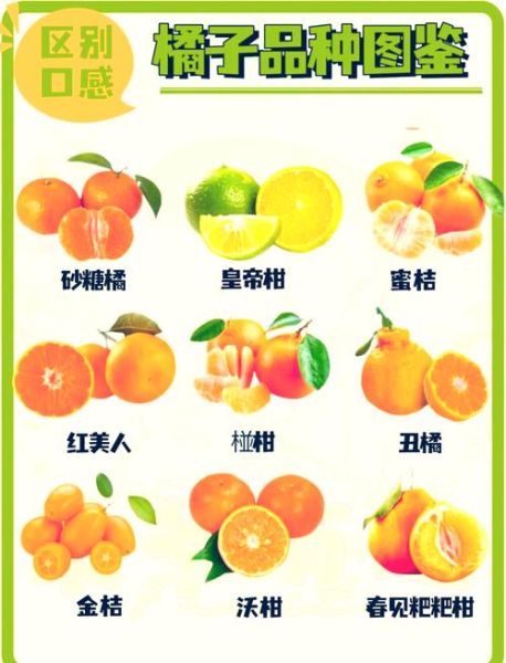 桔子有哪些颜色_为什么桔子颜色不同