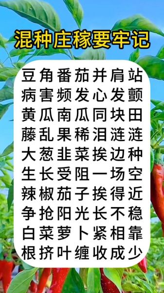 庄稼怎么种_庄稼种植步骤