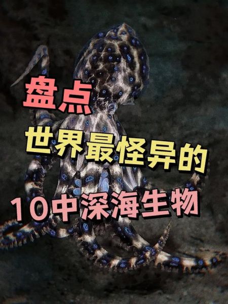 海底世界有哪些生物_海底最深处有多深