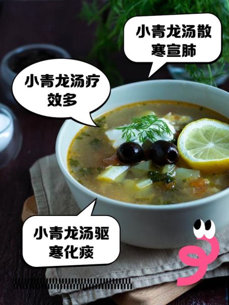 小青龙汤怎么熬_小青龙汤适合什么人喝