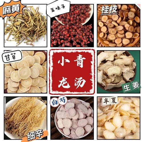 小青龙汤怎么熬_小青龙汤适合什么人喝