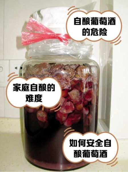 自酿葡萄酒的做法_家庭自酿葡萄酒详细步骤