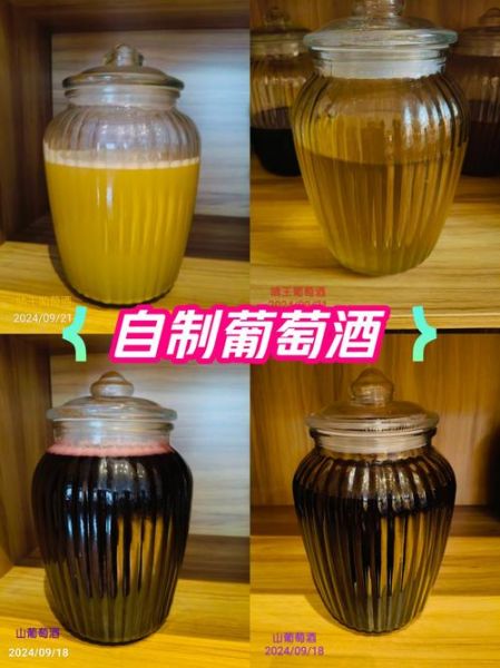 自酿葡萄酒的做法_家庭自酿葡萄酒详细步骤