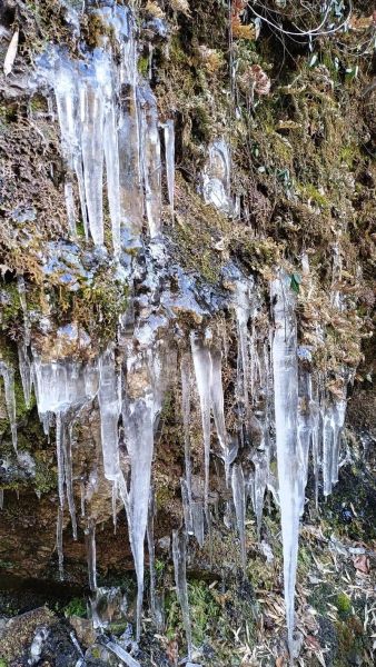 冰柱是什么词语_冰柱是名词吗