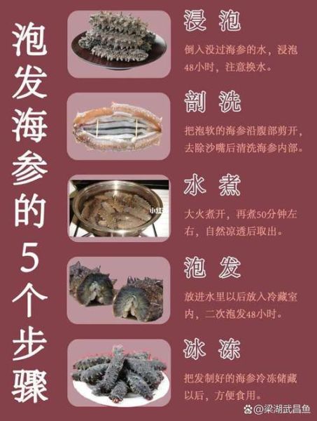 海参有几种做法_海参怎么做好吃