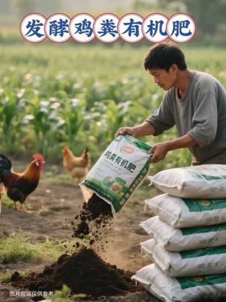 庄稼搭配什么肥料好_庄稼轮作怎么安排