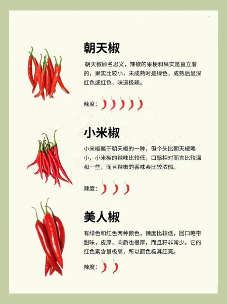 辣椒辣度如何划分_辣椒品种有哪些