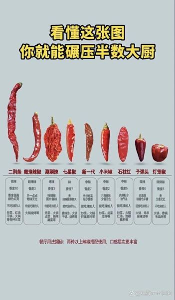 辣椒辣度如何划分_辣椒品种有哪些
