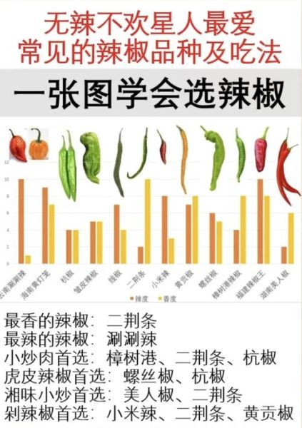 辣椒辣度如何划分_辣椒品种有哪些