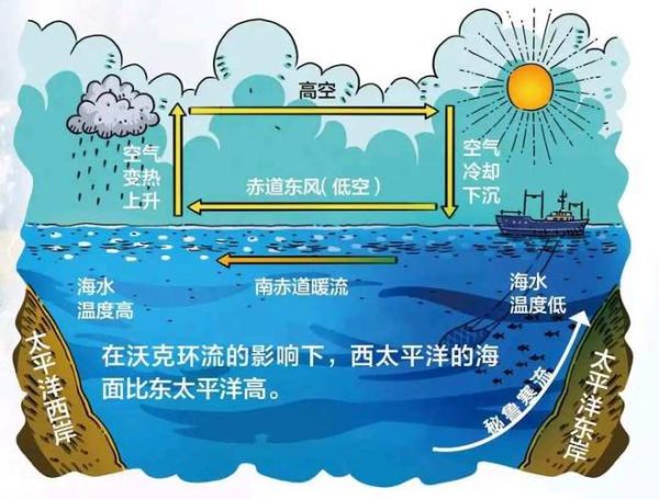 大海与河流的区别是什么_它们如何相互影响