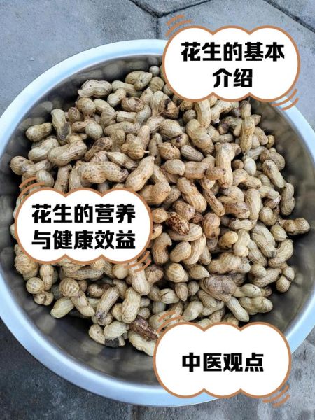 花生外形像什么_花生外壳有哪些特征