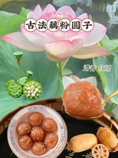 藕圆子怎么做_藕圆子家常做法步骤