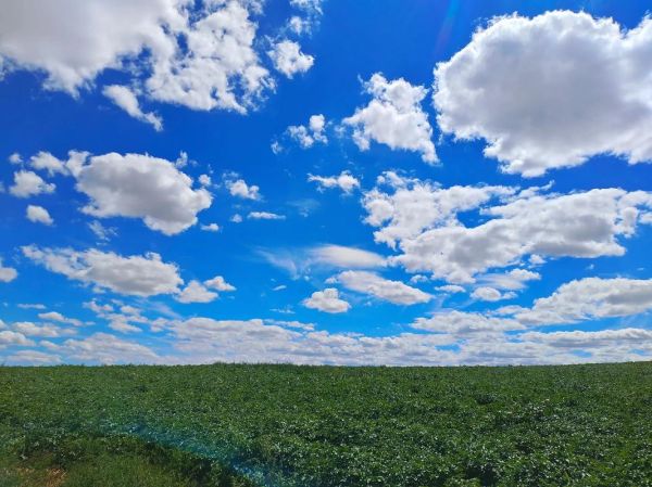 白云aa是什么_白云aa怎么用