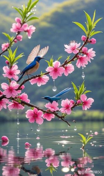 蓝天鸟树_如何拍出诗意画面