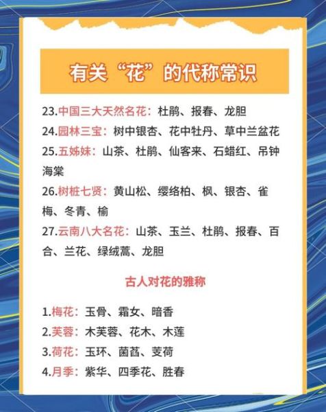 花颜的词语有哪些_如何描写花颜