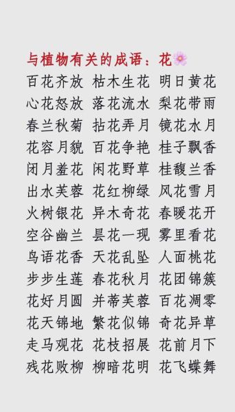 花颜的词语有哪些_如何描写花颜