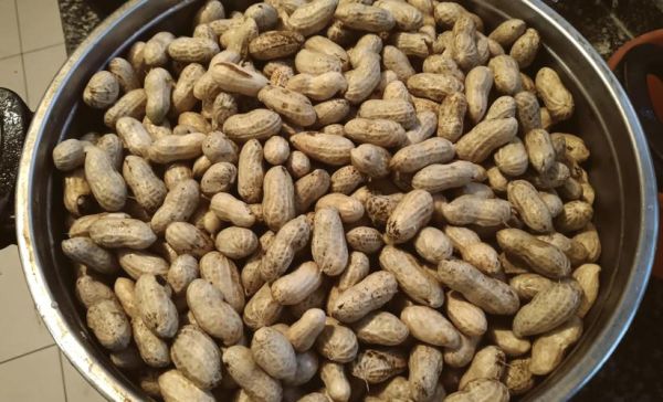 盐水花生怎么煮入味_盐水花生要泡多久