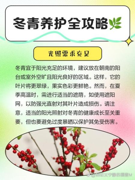 冬天小草为什么还绿_冬天小草怎么养护