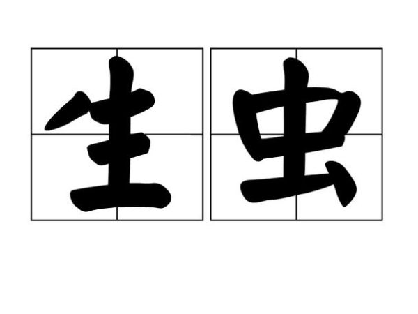 虫子算词语嘛_虫子算不算词语
