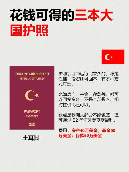 小国护照移民费用_小国护照移民条件