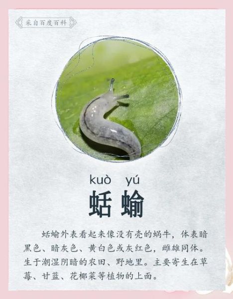 虫子算词语嘛_虫子算不算词语