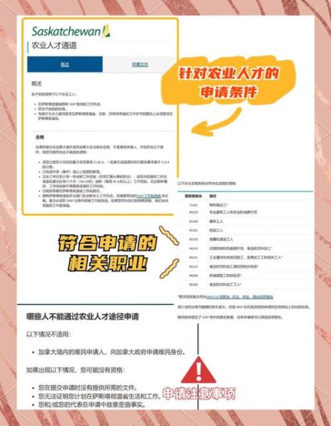 萨省移民需要什么条件_萨省技术移民流程