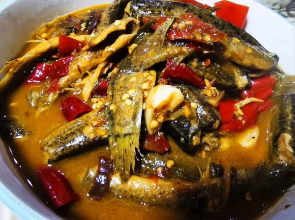 泥鳅怎么做好吃_家常泥鳅做法大全