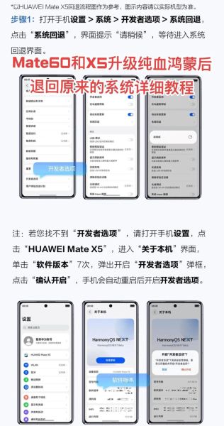 华为手机系统下载官网在哪_如何升级鸿蒙系统